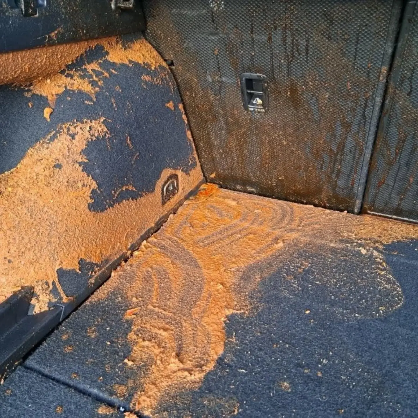Auto po čistení, fotka 1