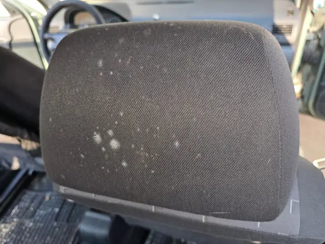 Škoda Octavia po čistení, fotka 9