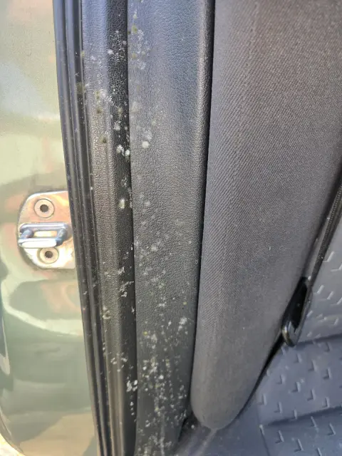 Škoda Octavia po čistení, fotka 11